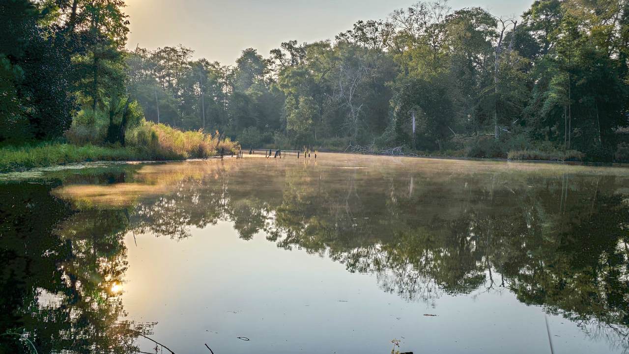 TBD Butler Road - Photo 1