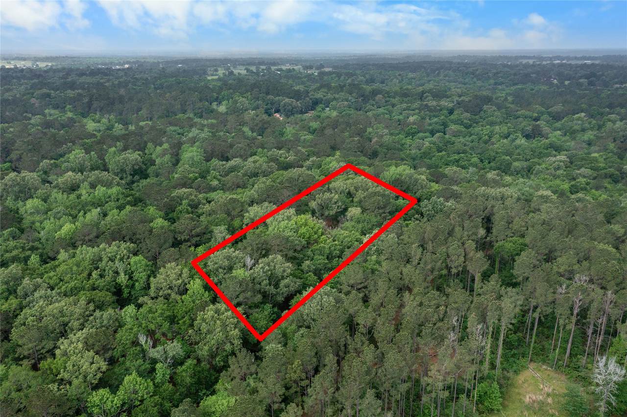 23619 Sharp Road - Photo 1