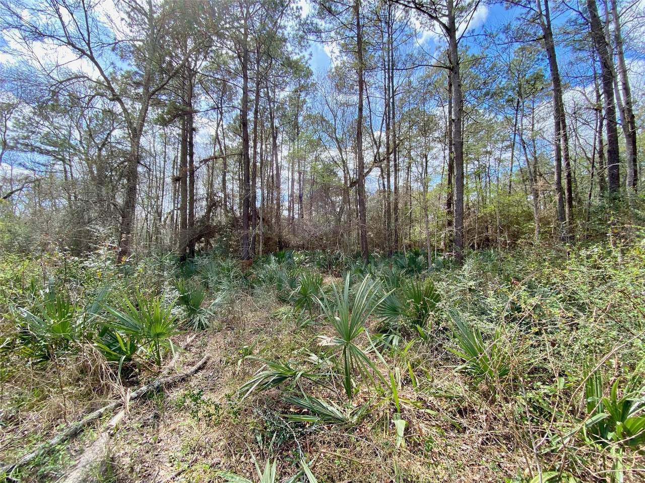 0 Scamper Lane - Photo 1