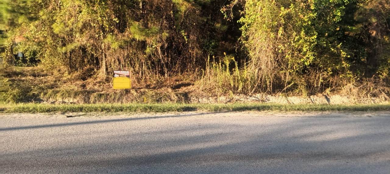 49 County Road 3479A - Photo 1