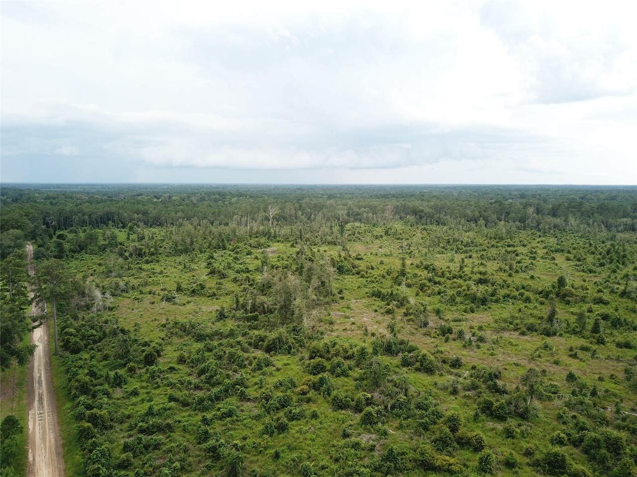 TBD County Road 3089 - Photo 1