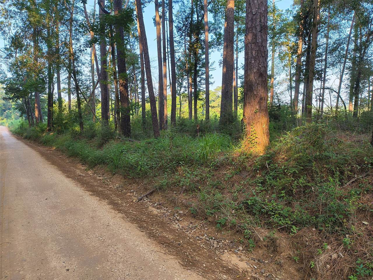 tbd County Line Road - Photo 1