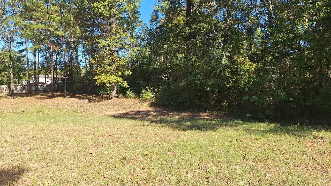 185 Amber Lane - Photo 1