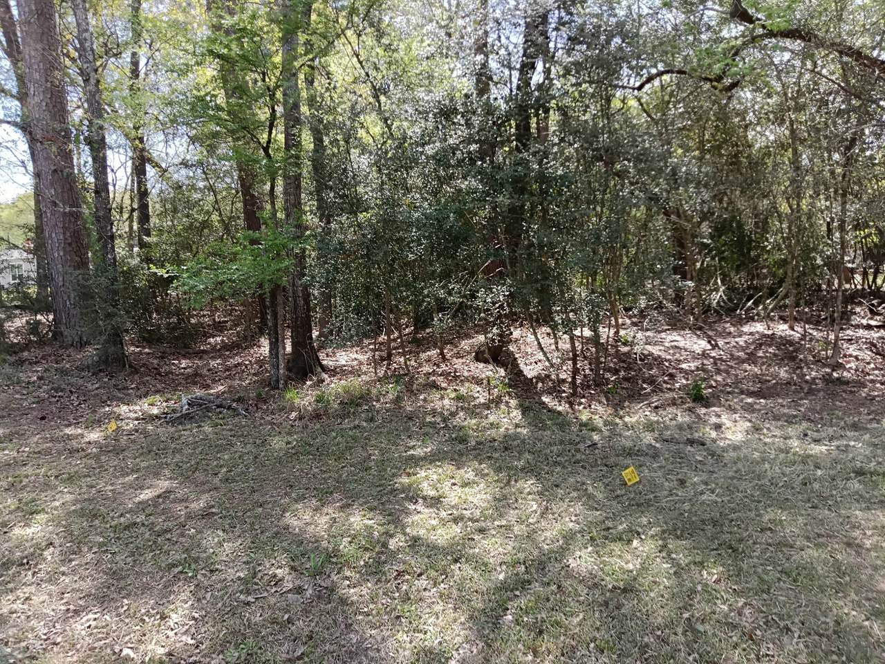 1004 White River Road - Photo 1