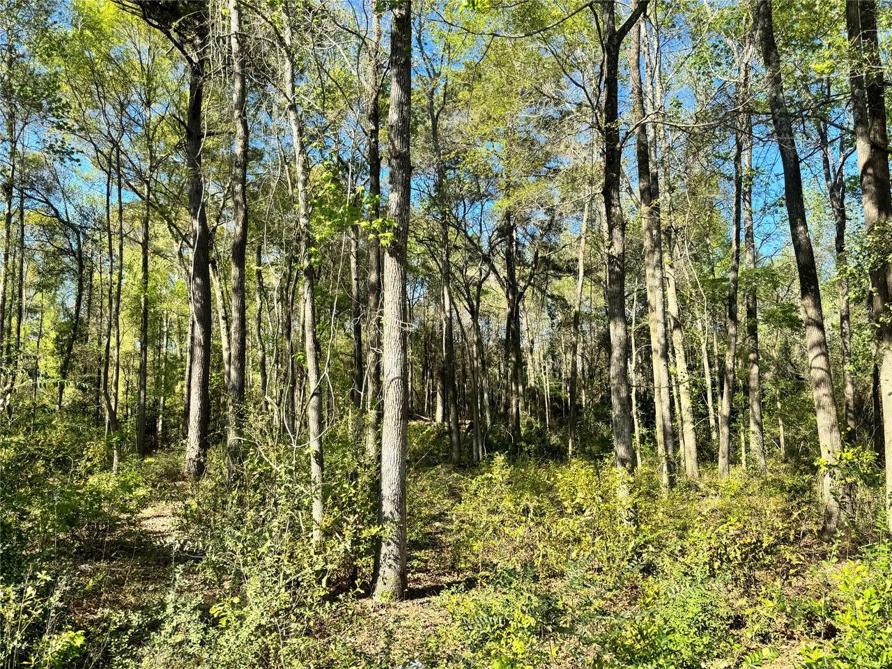 TBD Railroad Avenue - Photo 1