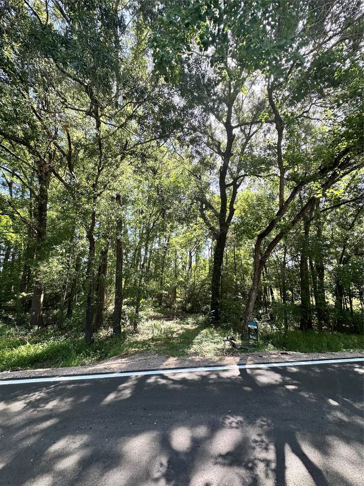 64 River Plantation Drive - Photo 1