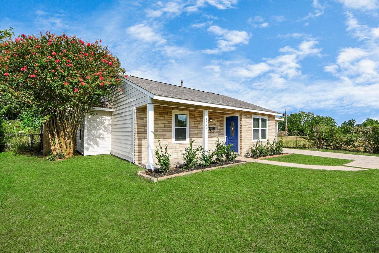 8746 Delilah Street - Photo 1