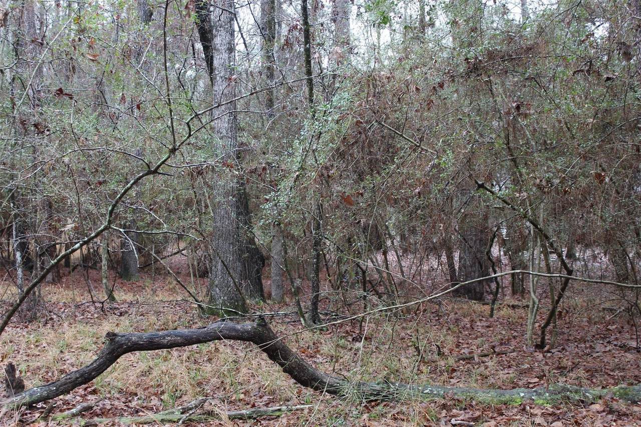 LOT 6 Magnolia Court - Photo 1