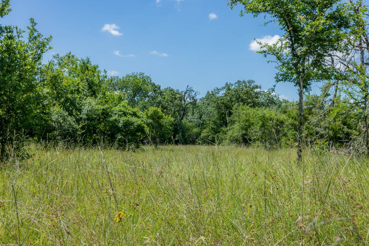 6584 Atakapan Trail - Photo 1