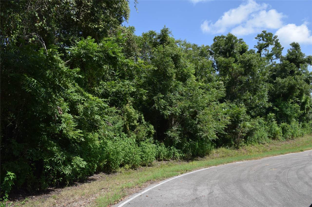 0 Colony Drive - Photo 1