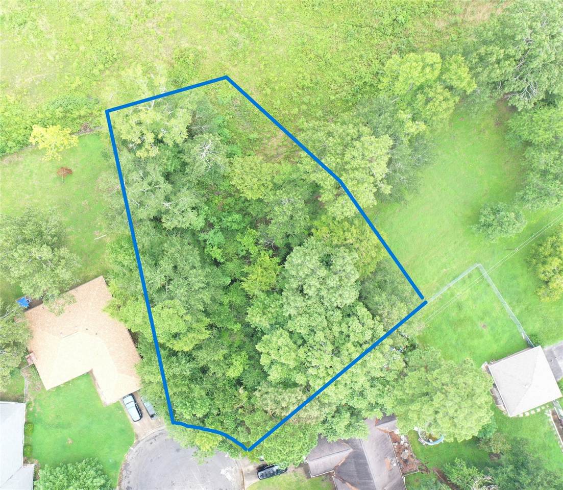 TBD Brinwood Place - Photo 1