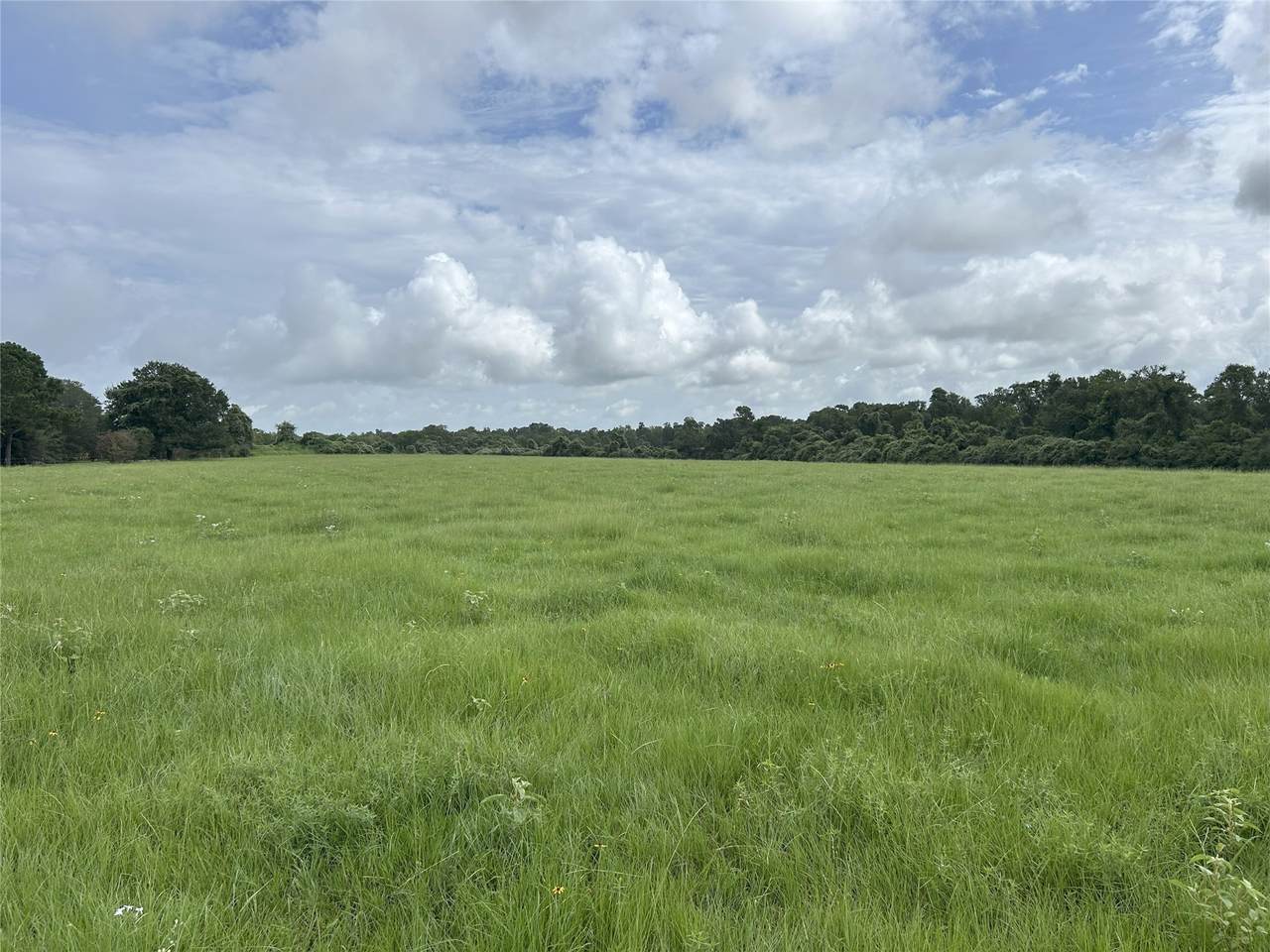 TBD Holik Road - Photo 1