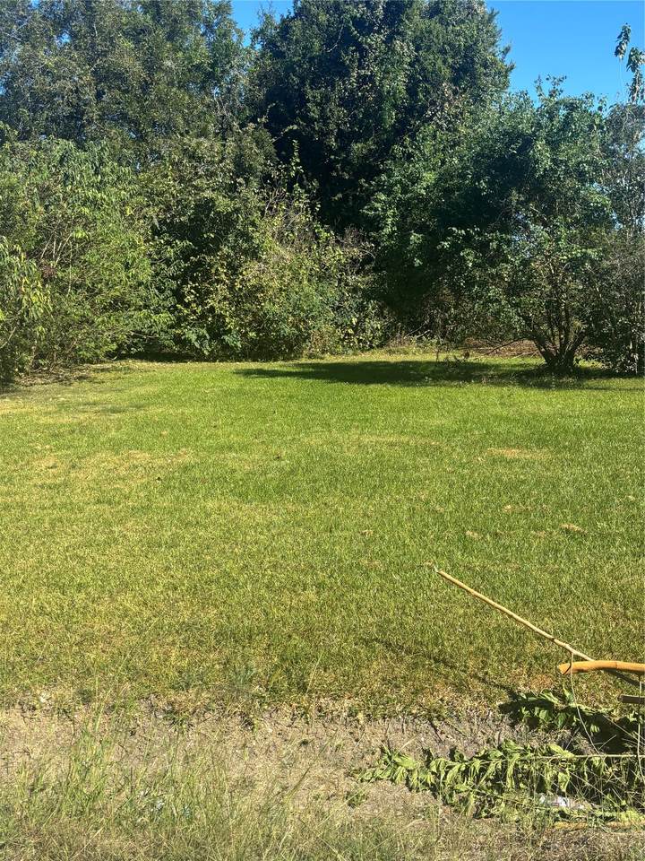 9233 Noel Street - Photo 1