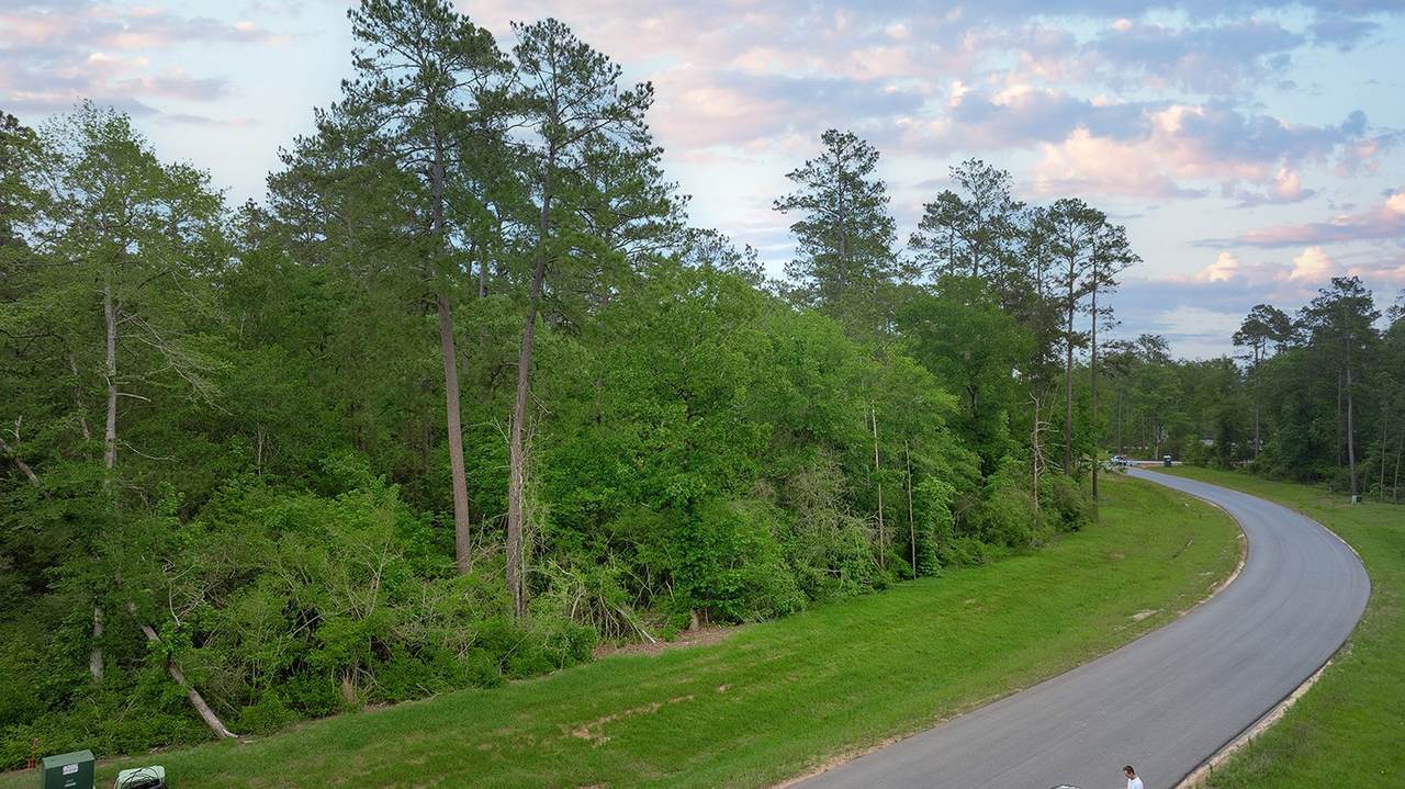 15628 Wood Grove Way - Photo 1