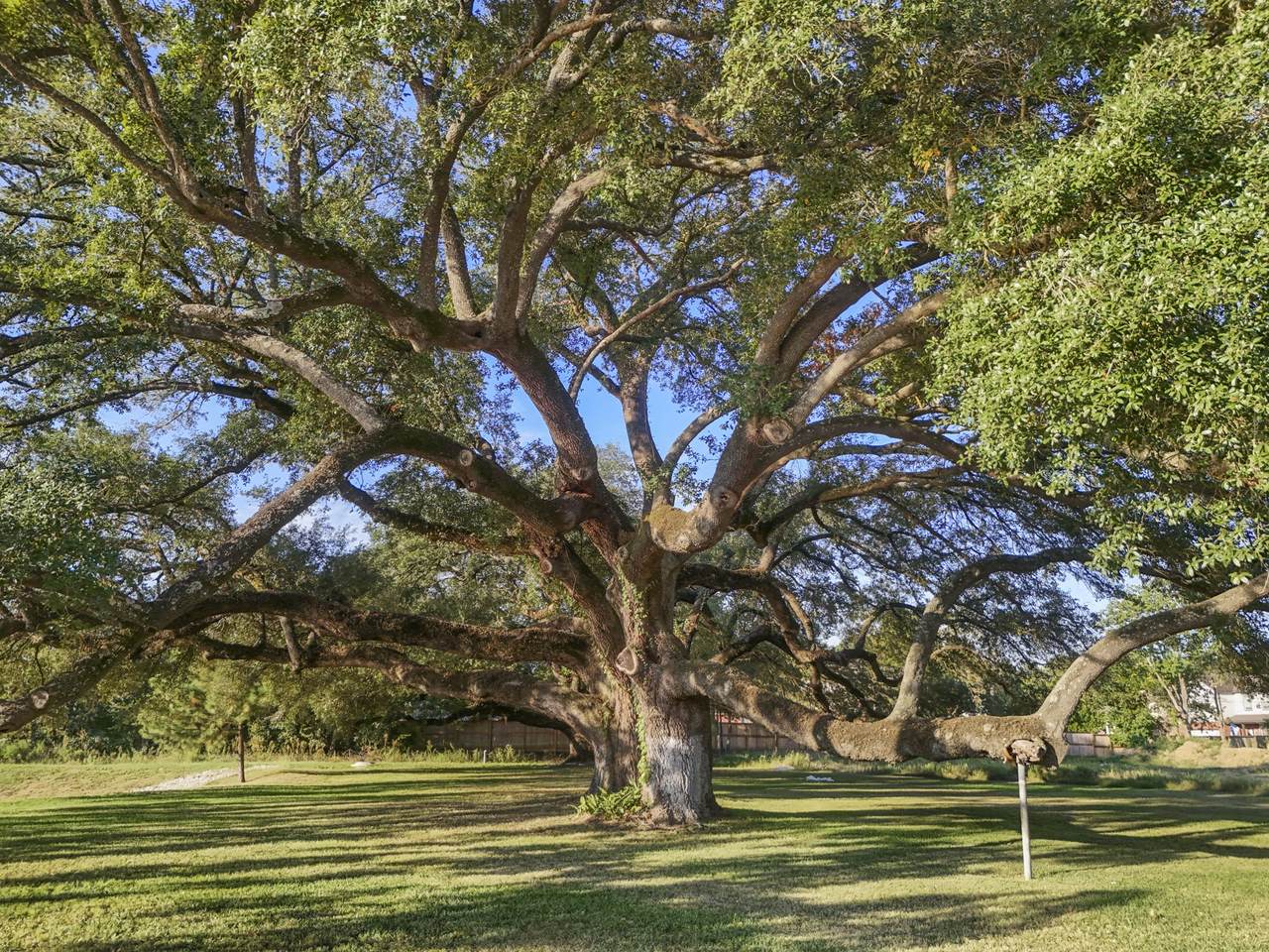 21803 Red Oak View Court - Photo 1