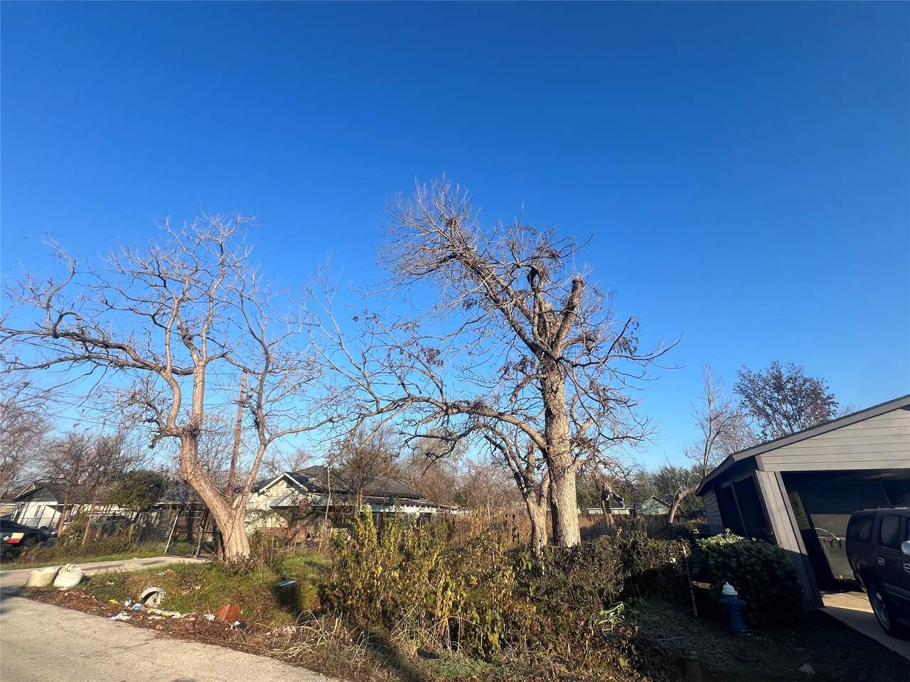 4017 Corto Street - Photo 1
