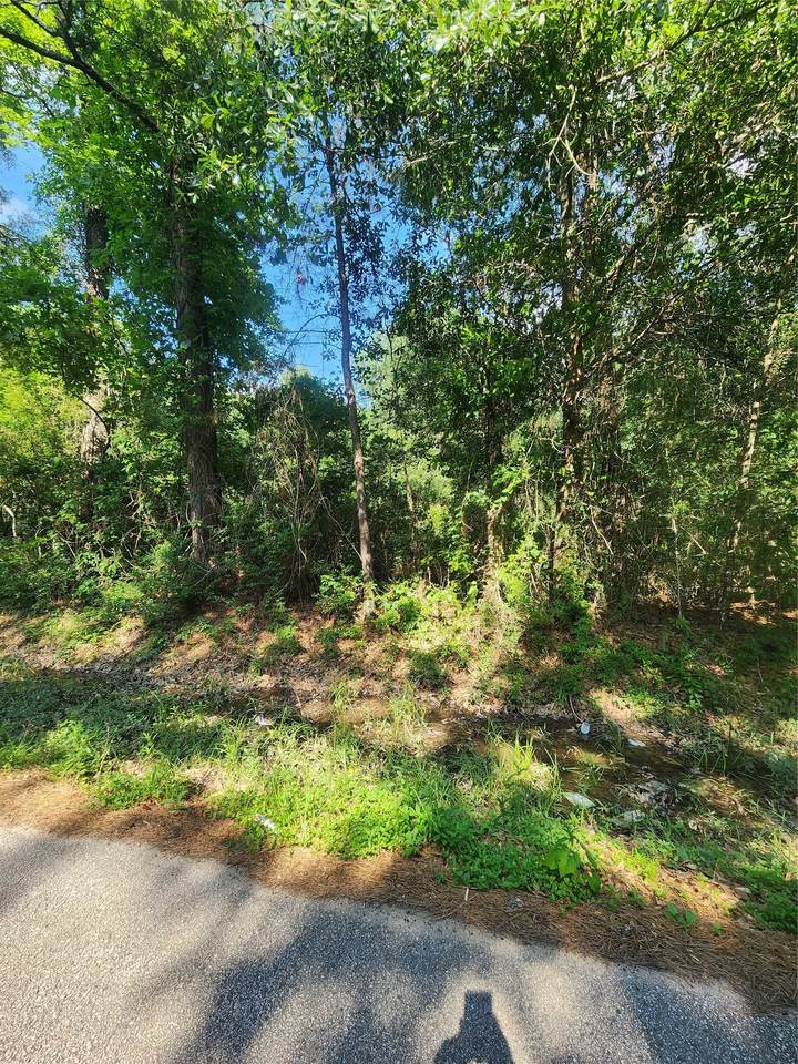 202 Michael Street - Photo 1