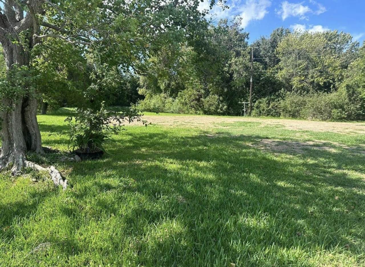 213 Leroy Street - Photo 1