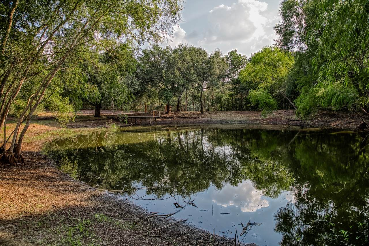 Tract 6 Sun Oil Road - Photo 1