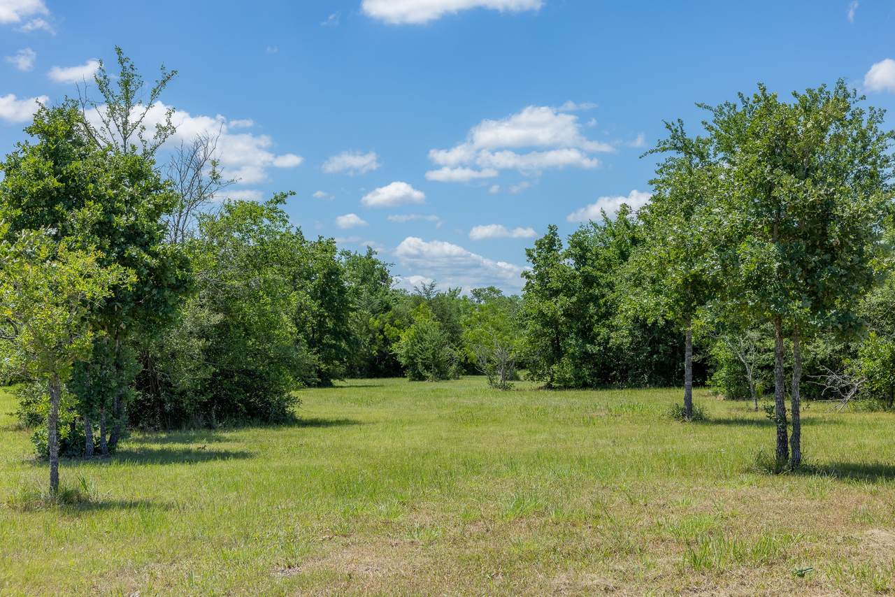 6774 Atakapan Trail - Photo 1