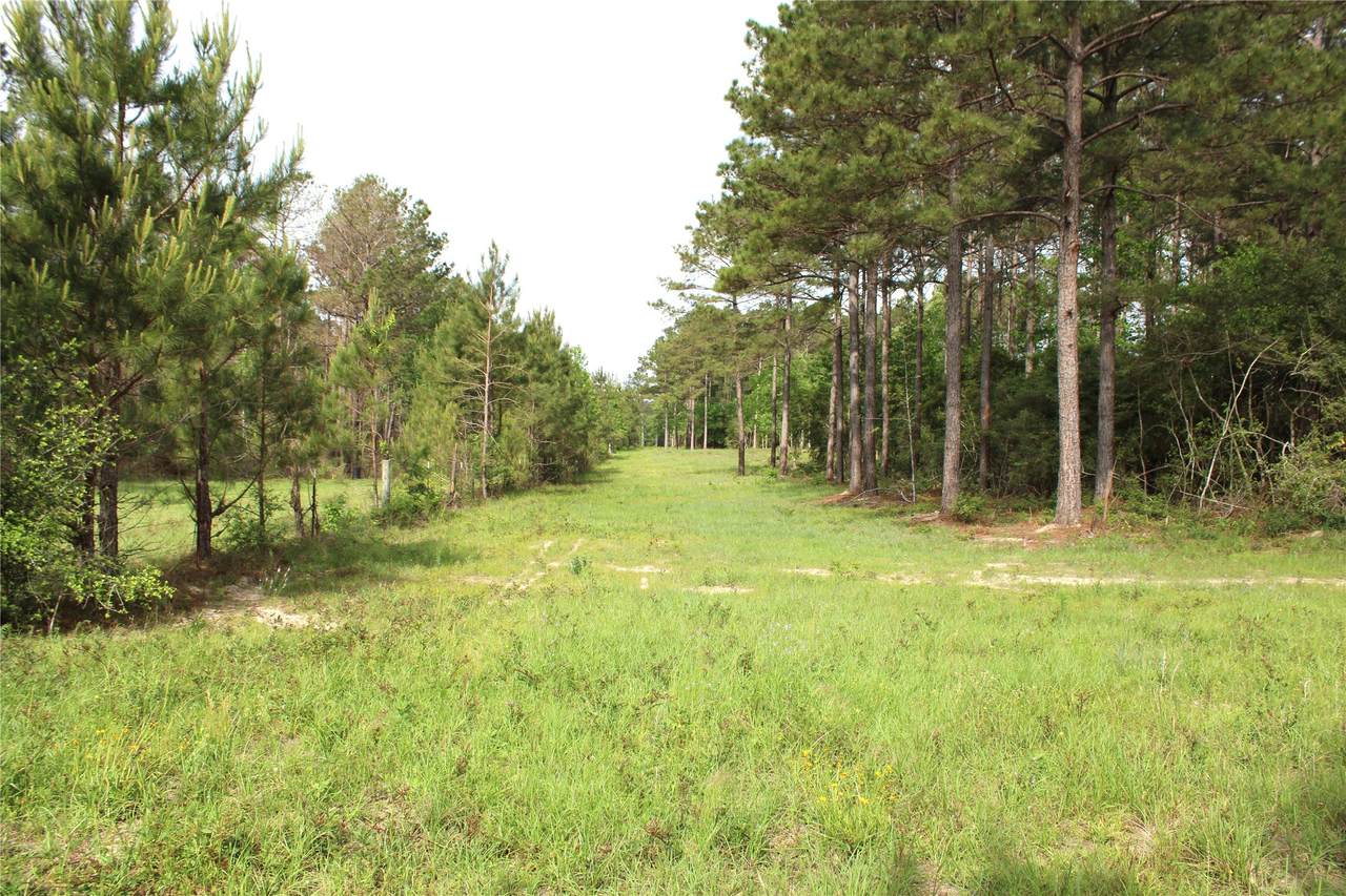 https://bt-photos.global.ssl.fastly.net/harmls/1280_boomver_3_39272147-2.jpg