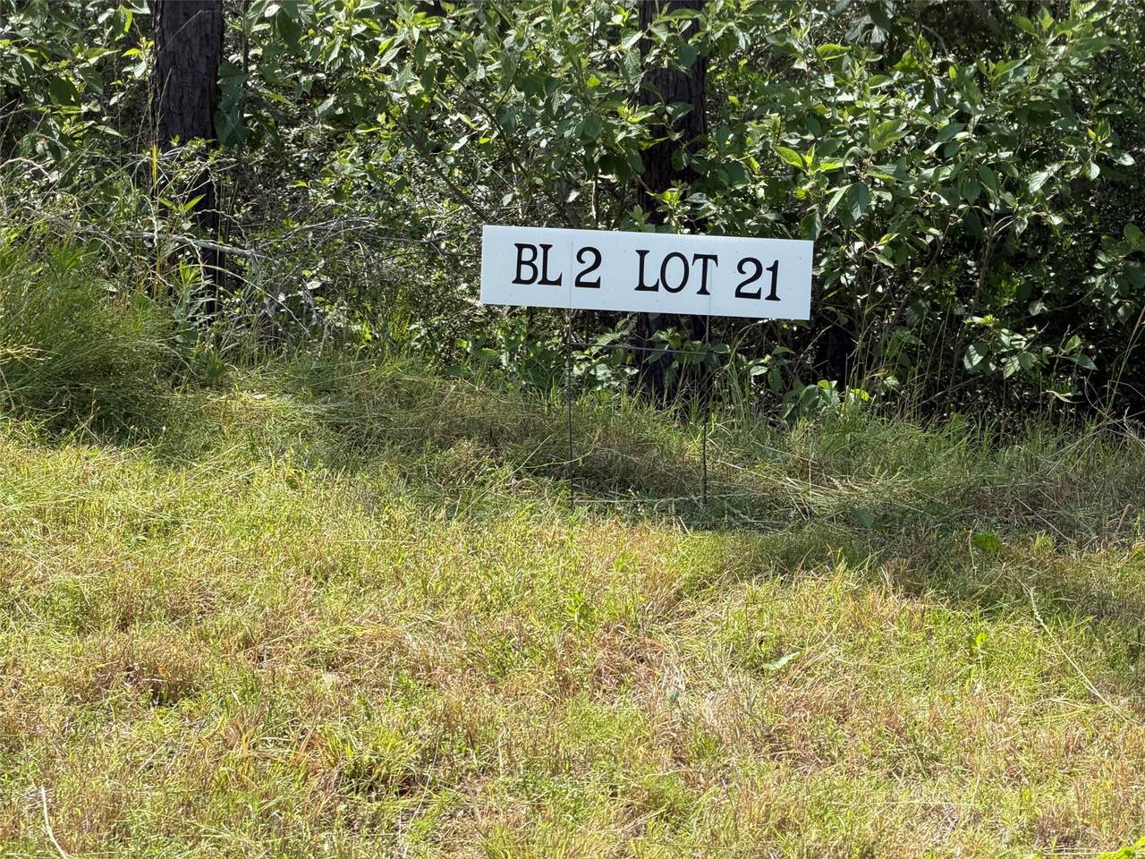 15890 Ridge Oak Road - Photo 1