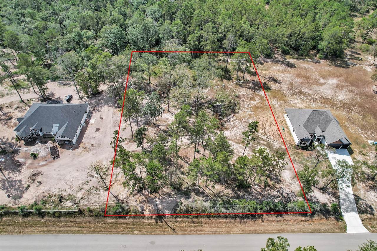 8550 Timber Switch - Photo 1