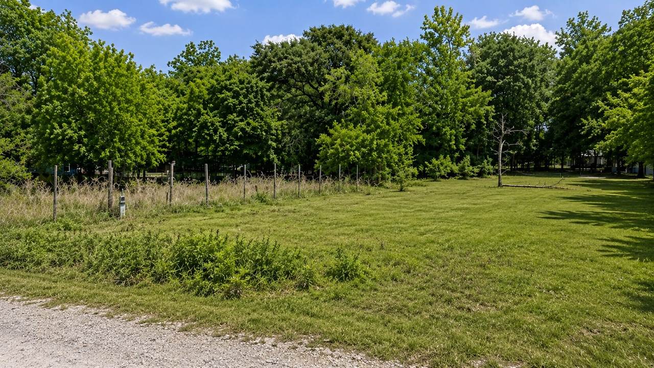 9146 Simmons Street - Photo 1