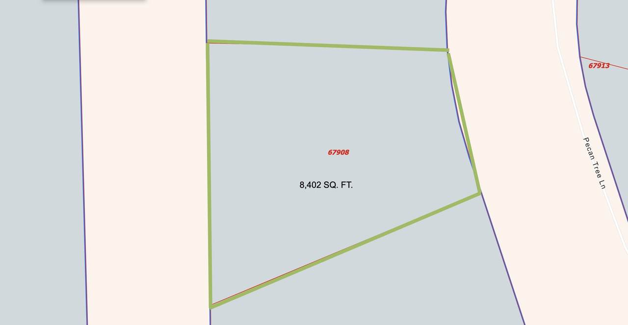 0 Pecan Tree Lane - Photo 1