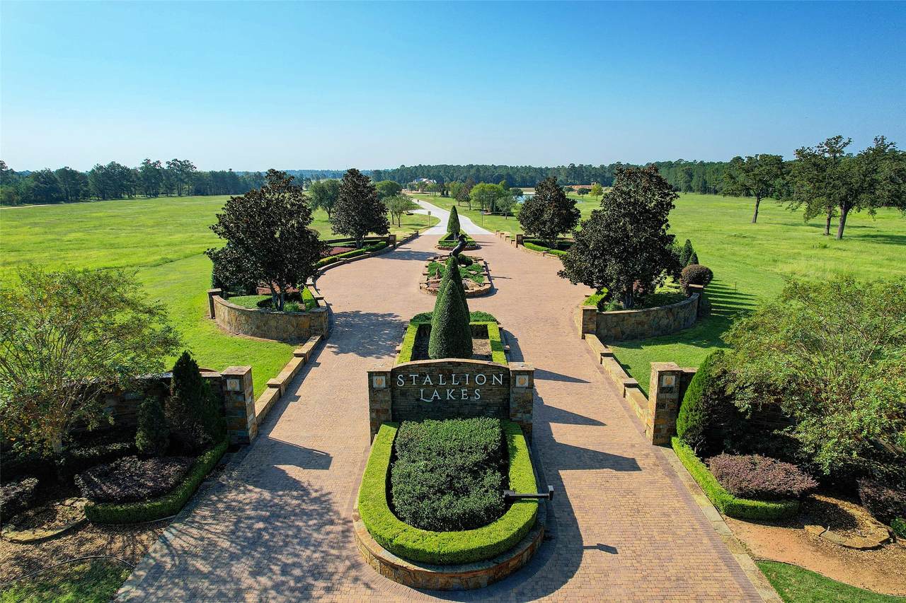 2302 Iris Cove Court - Photo 1