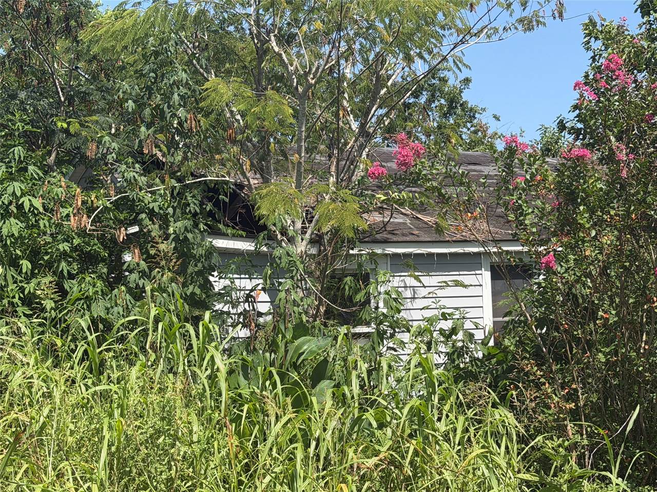 4941 State Highway 172 - Photo 1