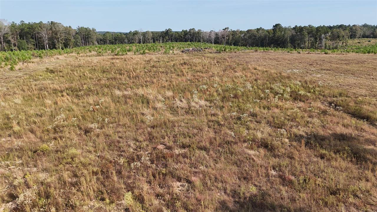 TBD 3 Young Road - Photo 1