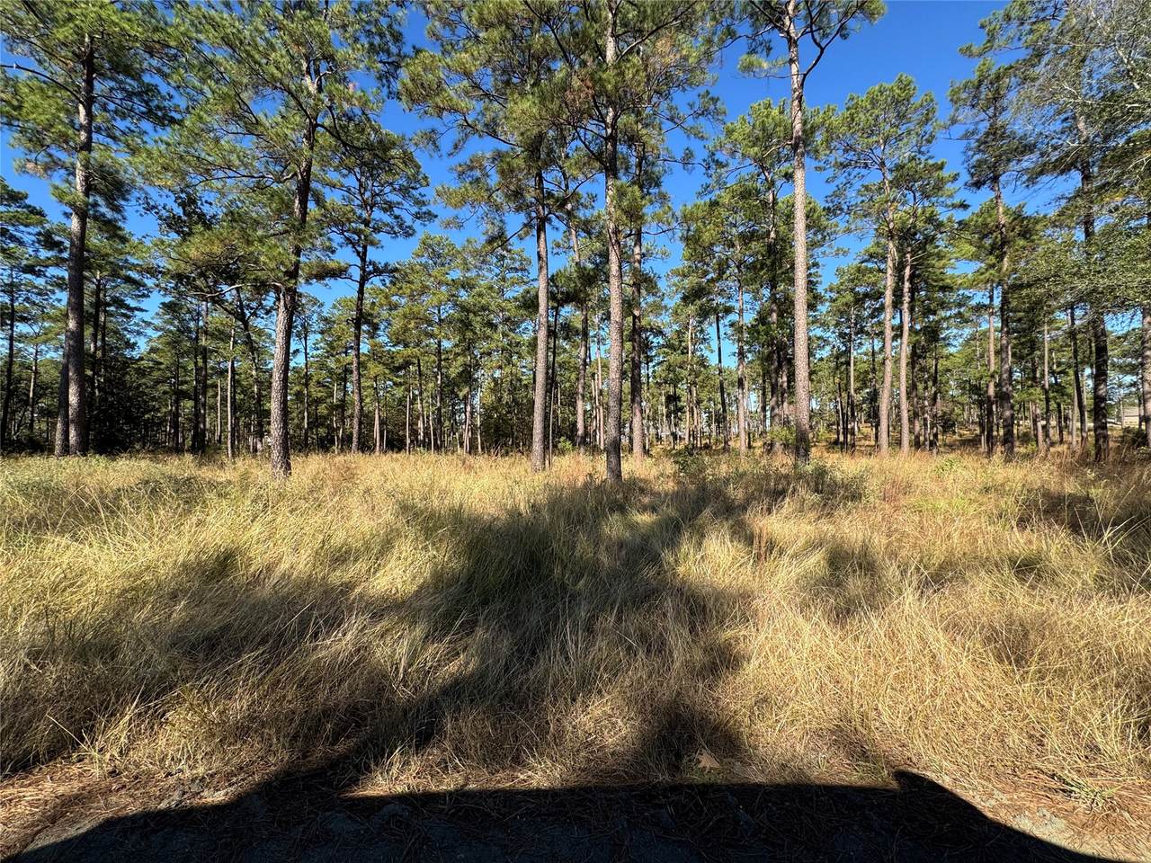 065 Private Road 6026 - Photo 1