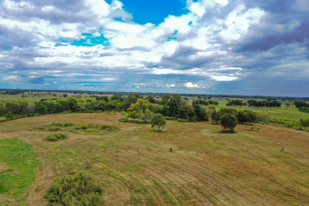 0 Amy Lane - Photo 1