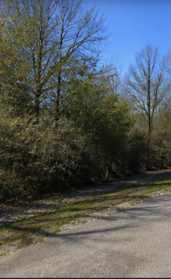 0 Hilltop Road - Photo 1