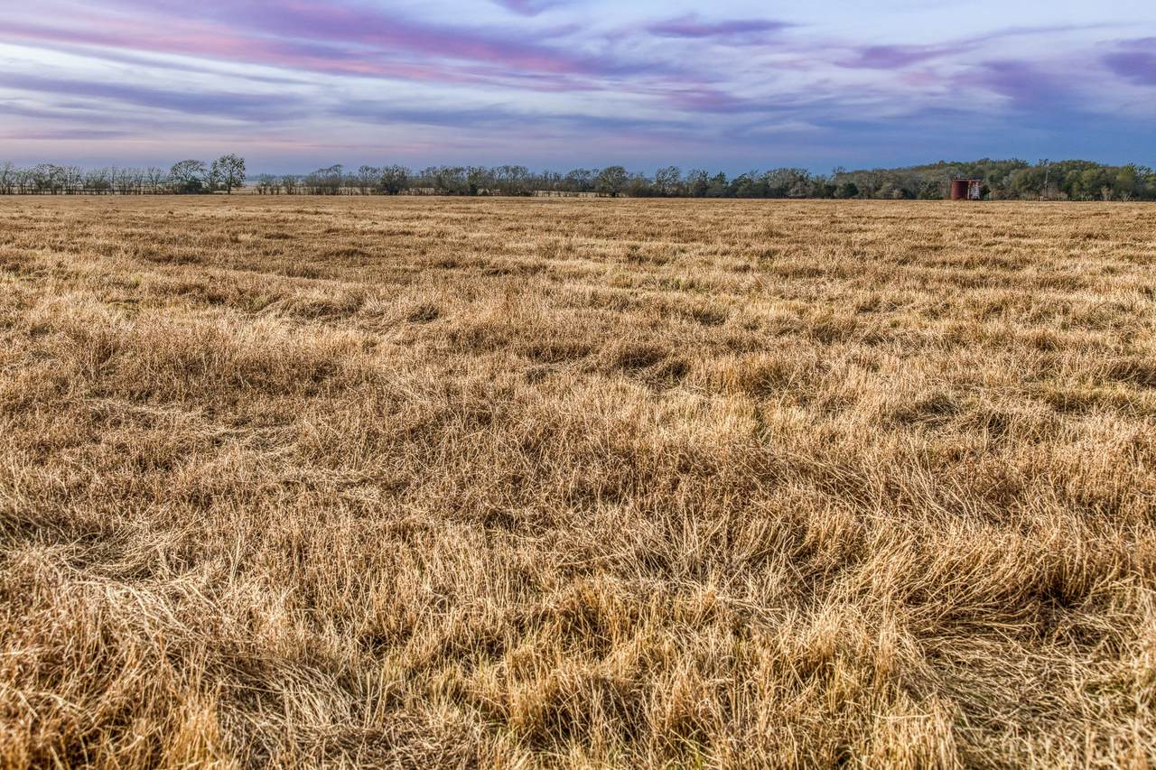 TBD County Road 318 - Photo 1