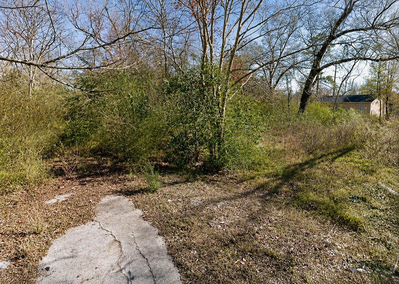 N/A Lorilee Street Street - Photo 1