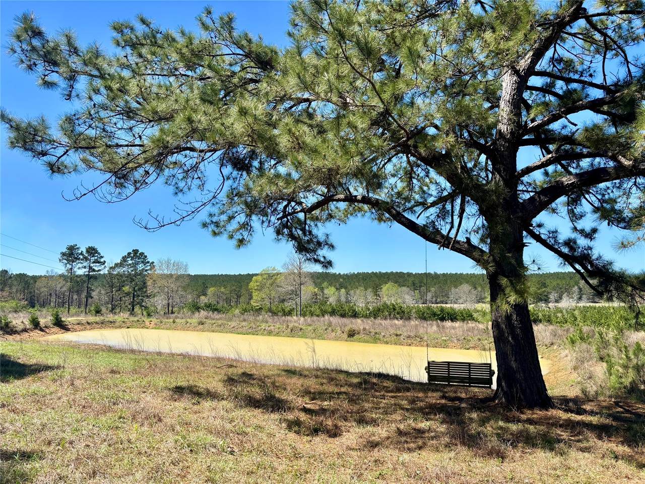 1105 County Road 3550 - Photo 1