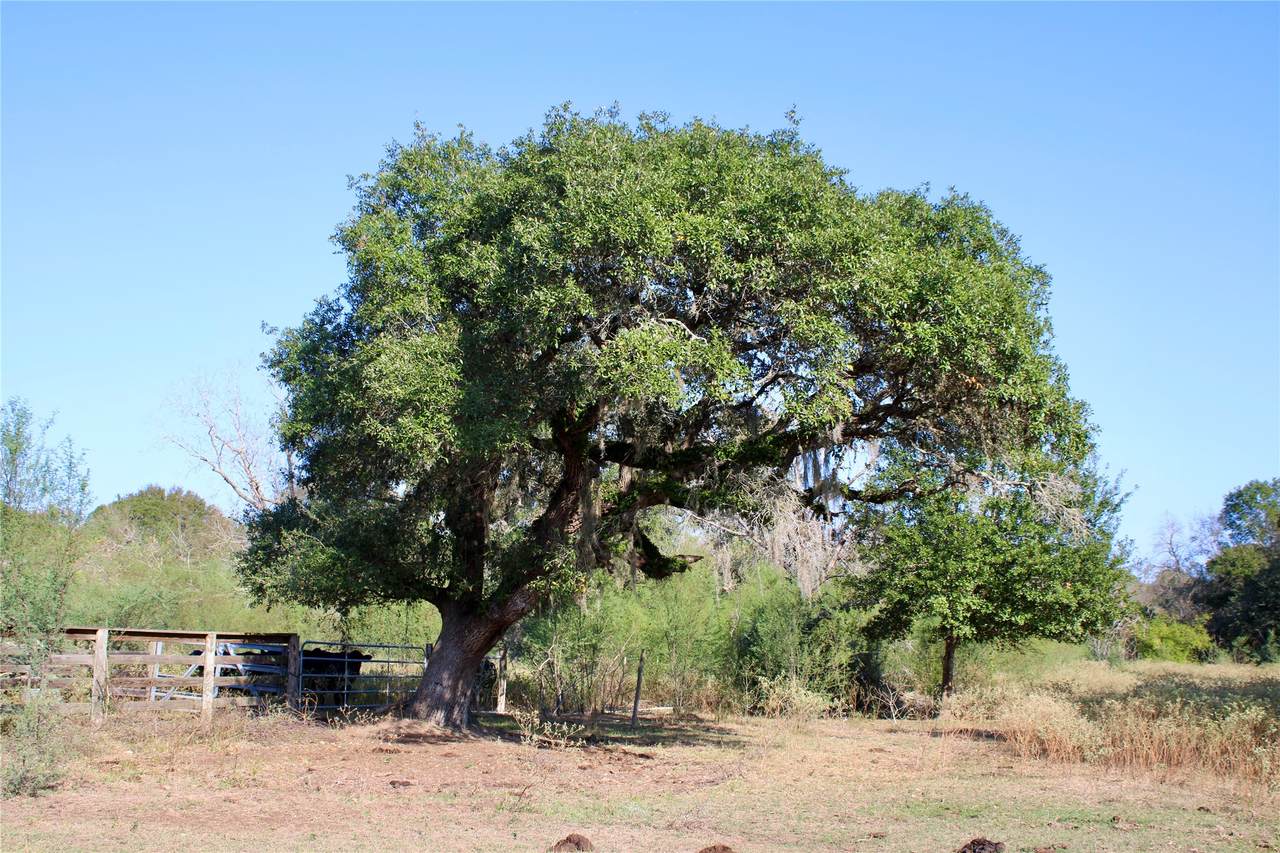 https://bt-photos.global.ssl.fastly.net/harmls/1280_boomver_1_41854020-2.jpg