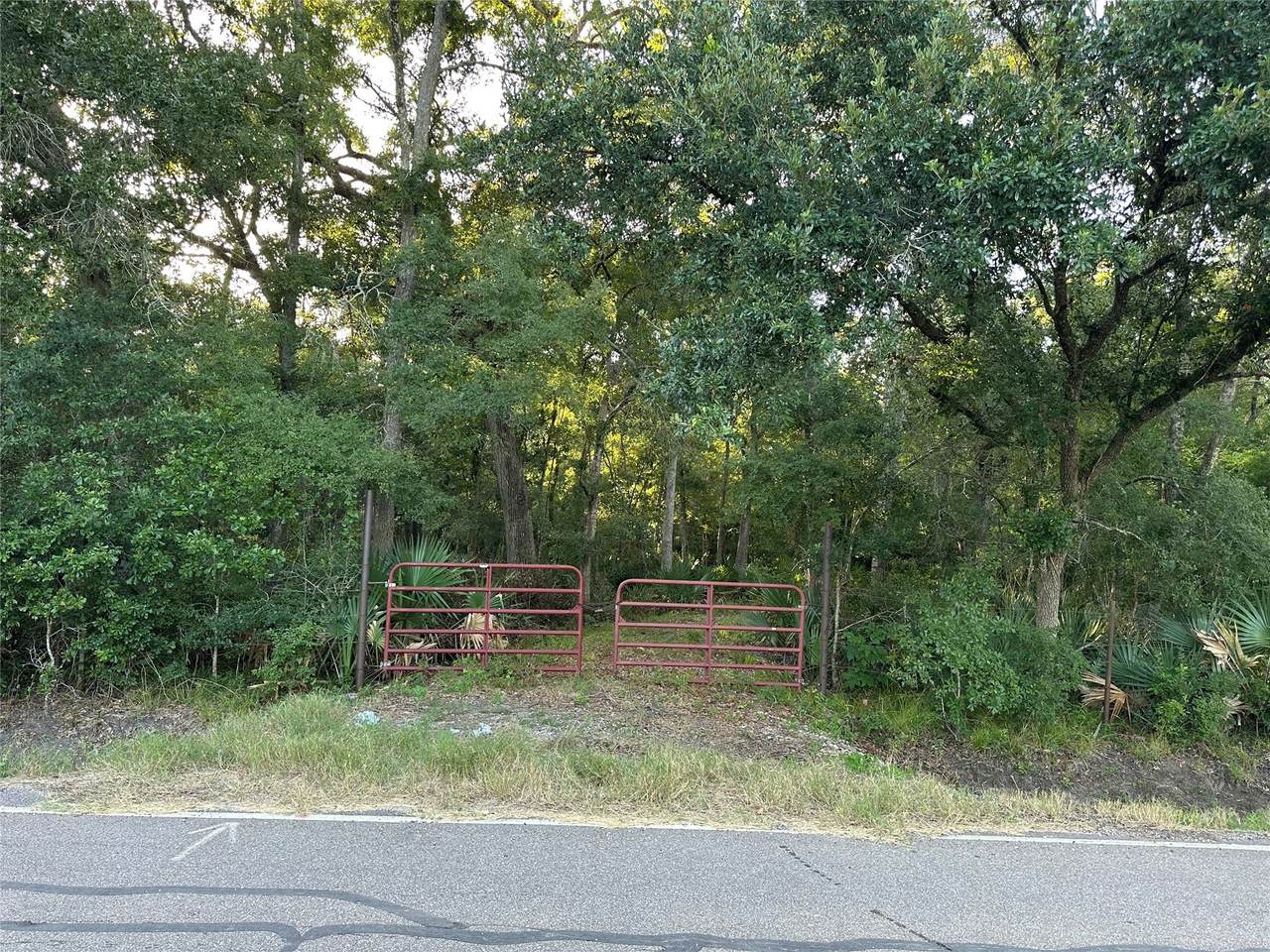 0 County Road 728C - Photo 1