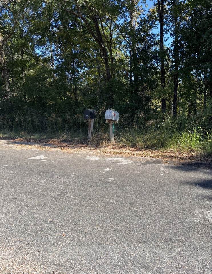 0 Old Highway 35 - Photo 1
