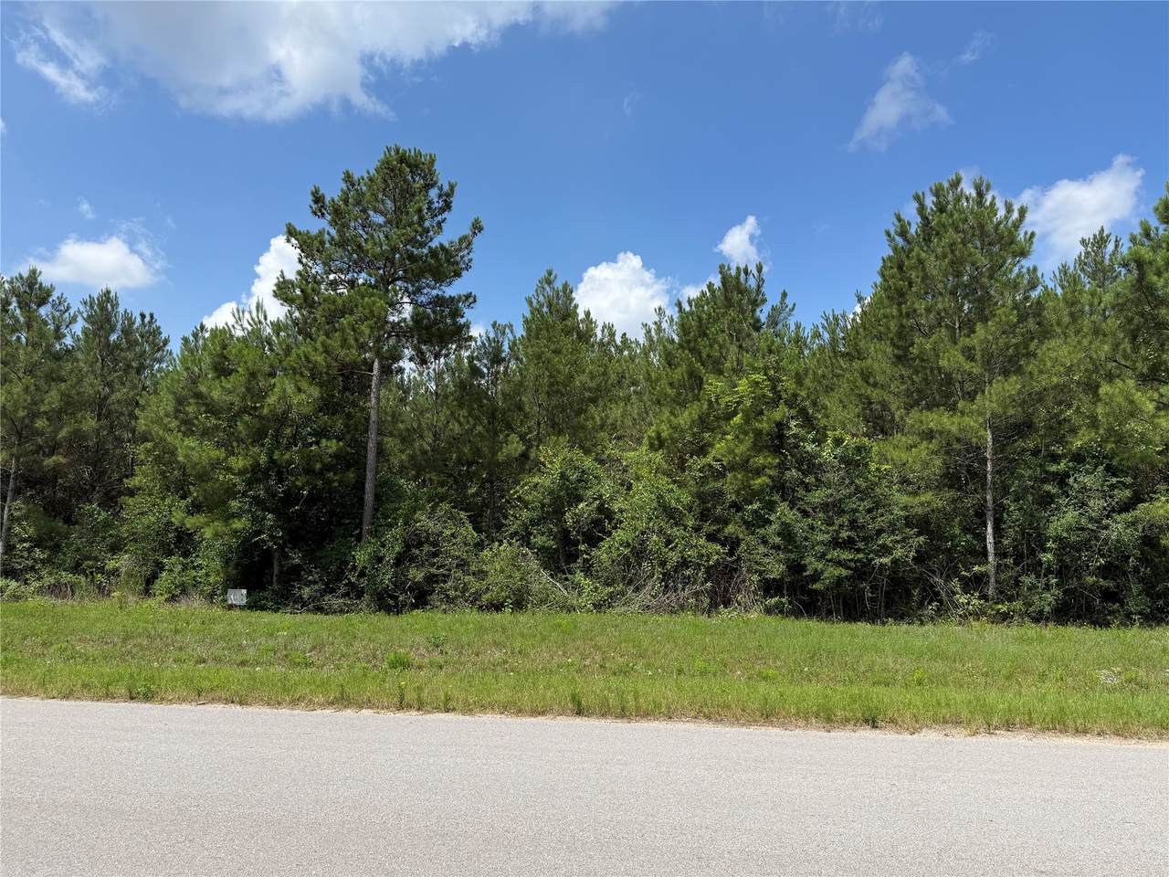 15751 Wood Grove Way - Photo 1