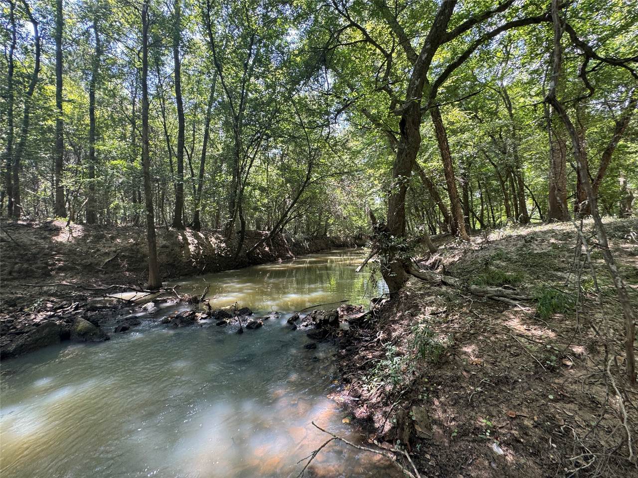TBD Cr 3141 W Road - Photo 1