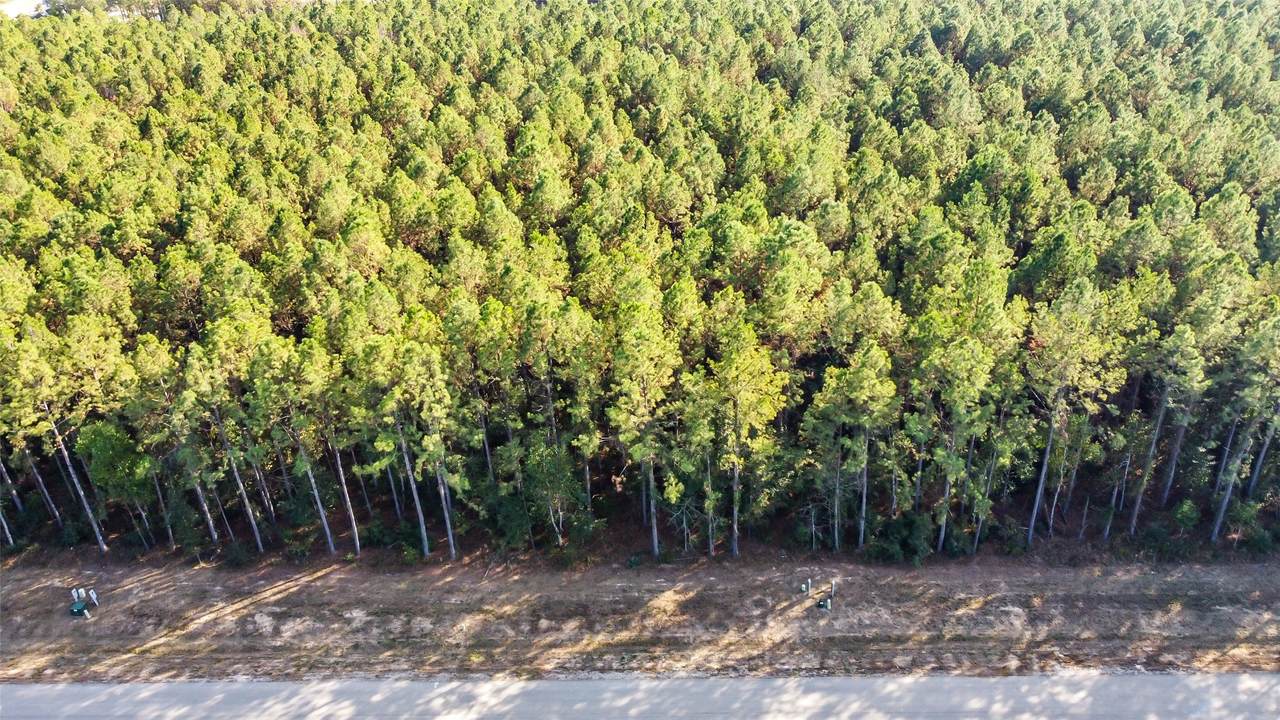 1878 Road 66116 - Photo 1