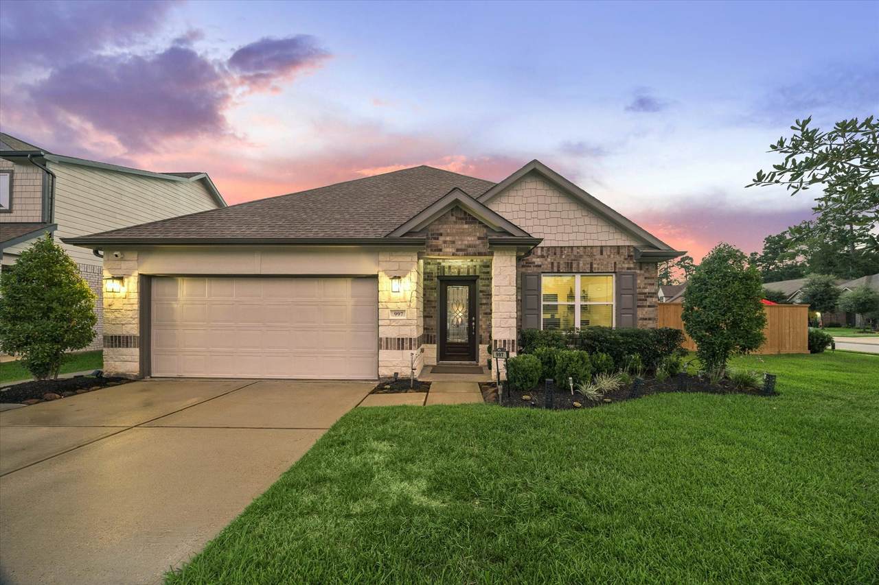 997 Golden Willow Lane - Photo 1