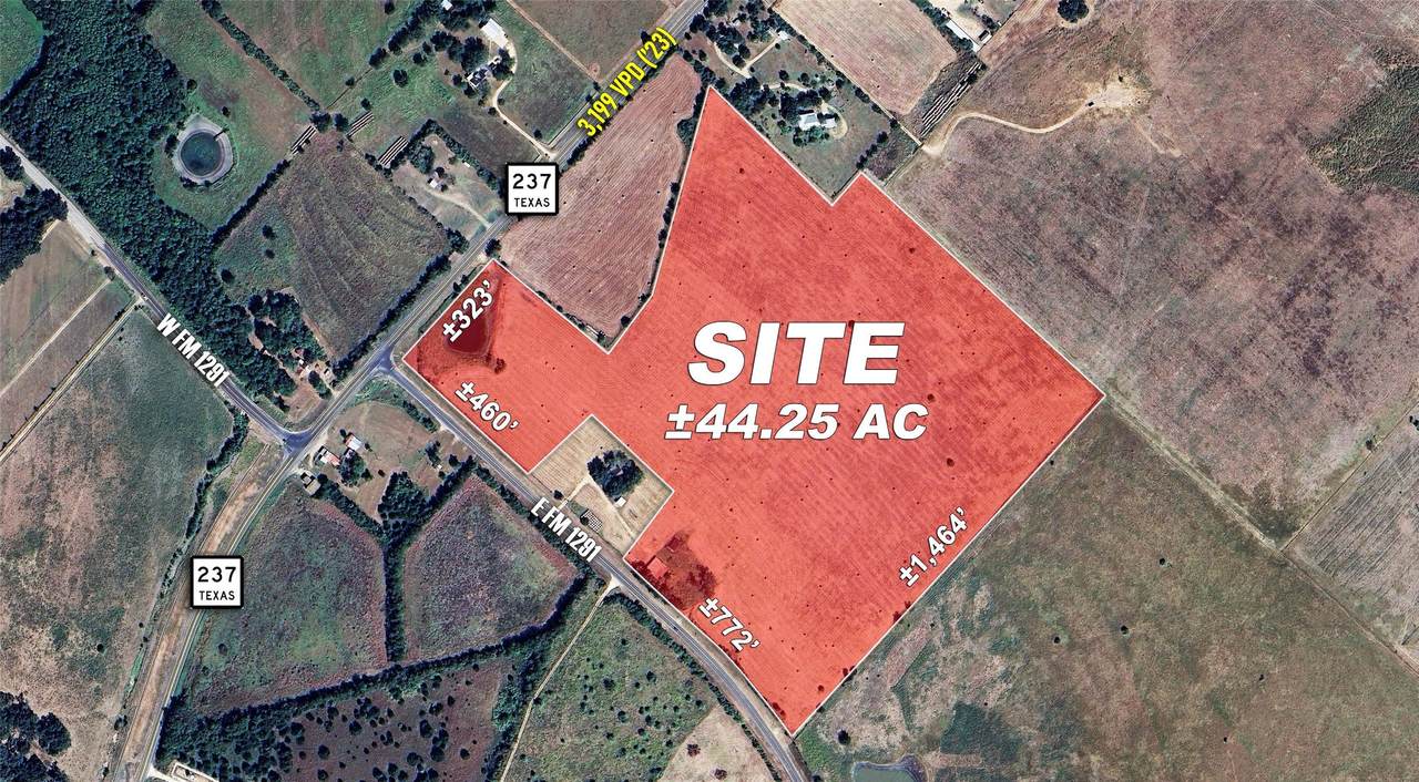 0 Hwy 237 And Fm 1291 - Photo 1