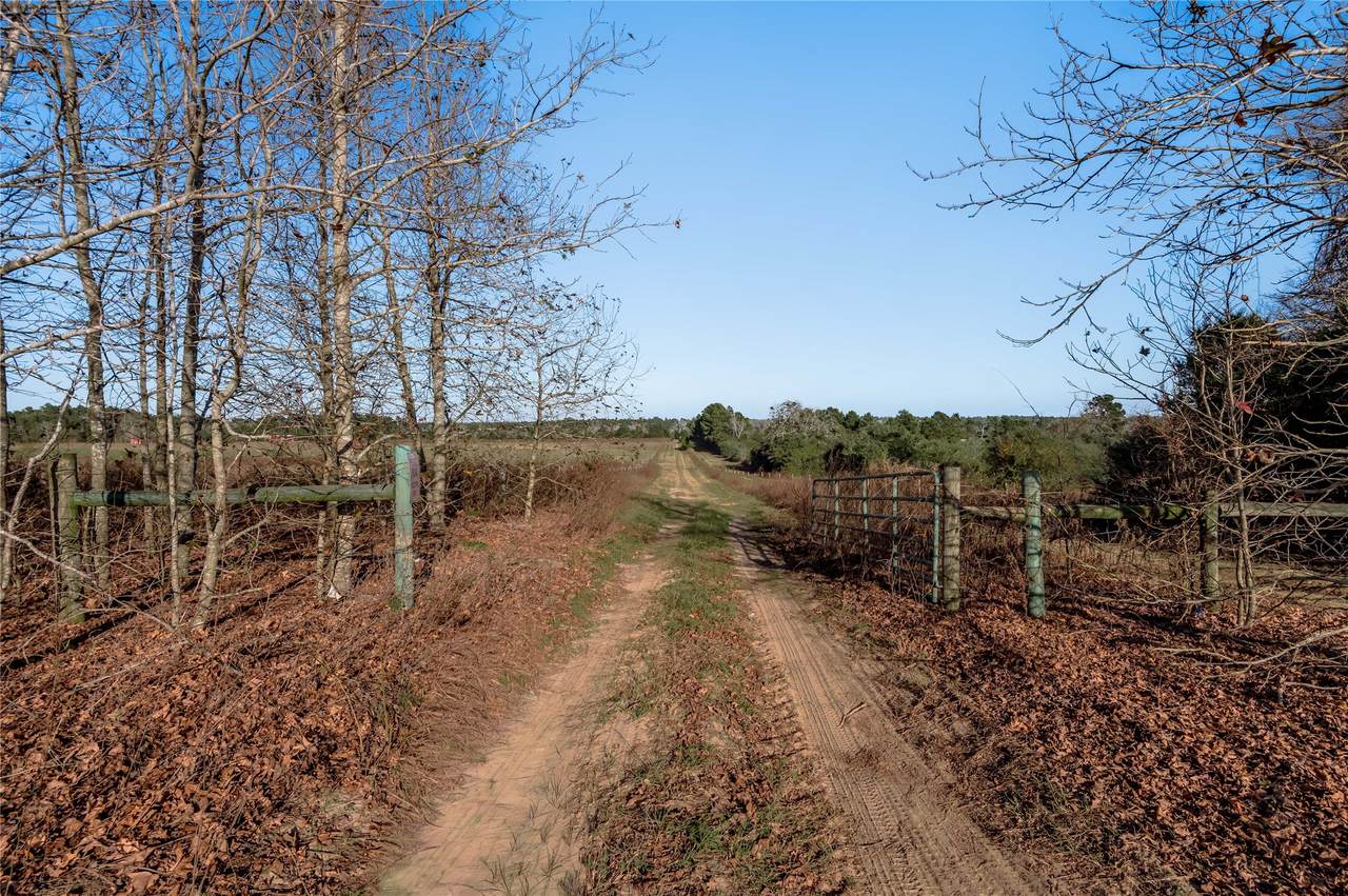 TBD County Road 204 - Photo 1