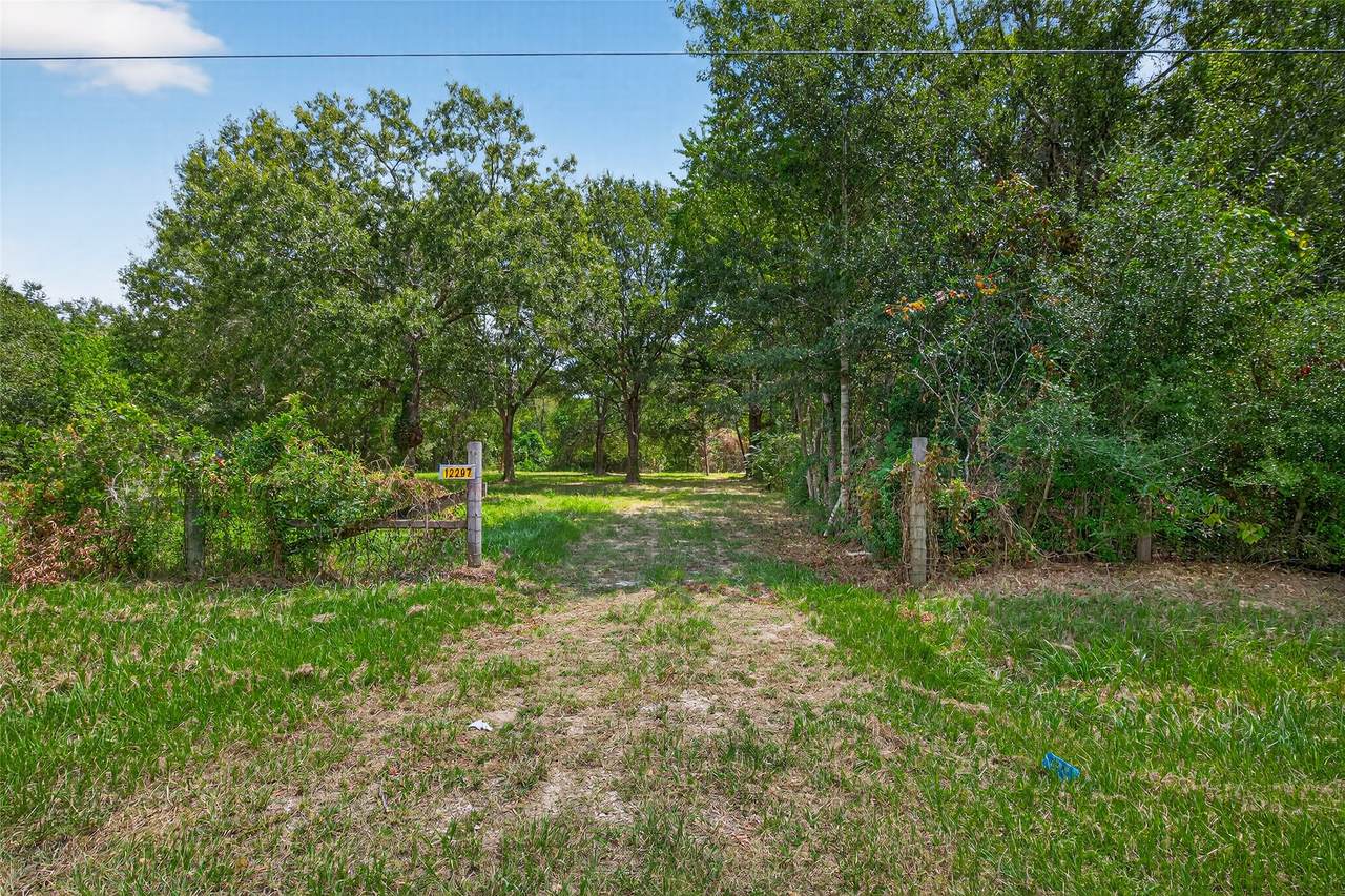 12297 Rebel Road - Photo 1