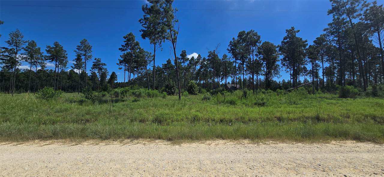 Lot 1 Aggie - Photo 1