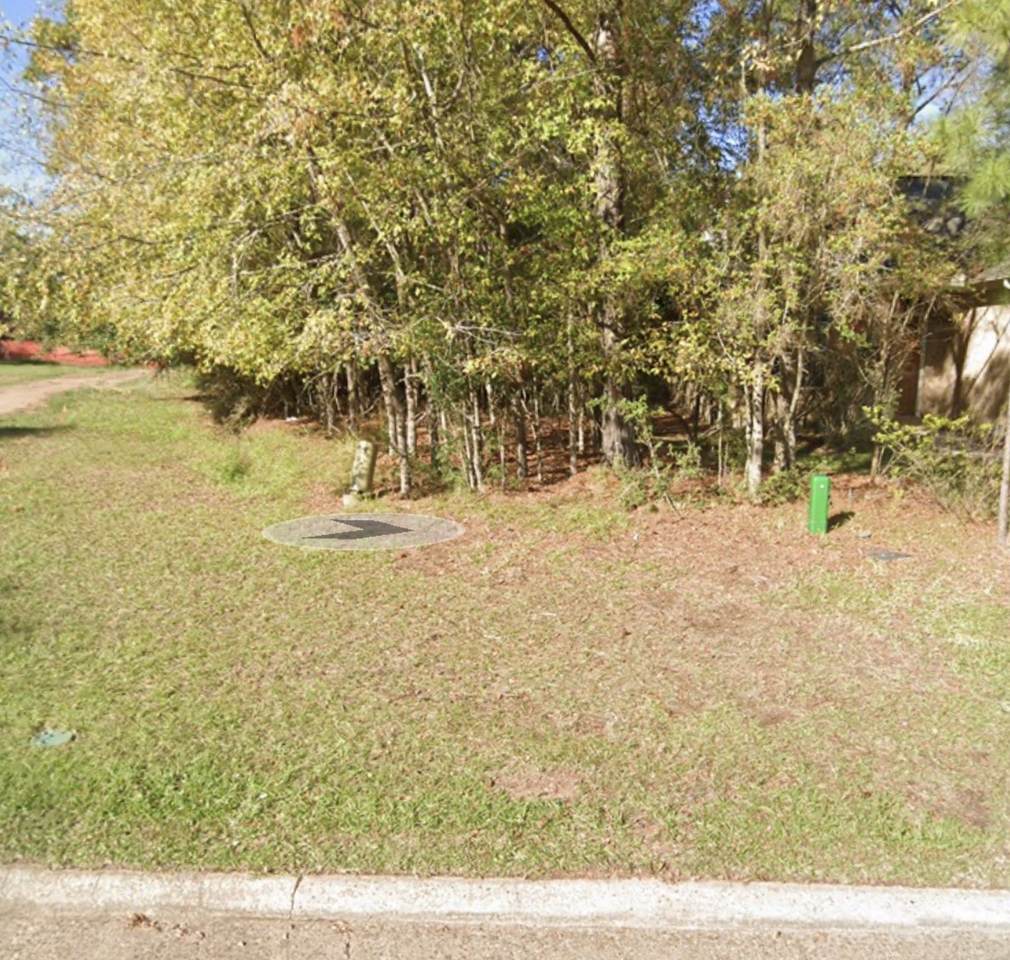 11514 Alcott Dr - Photo 1